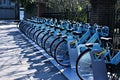 Blue rental bikes Royalty Free Stock Photo