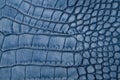Blue reptile leather texture Royalty Free Stock Photo