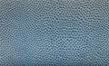 Blue reptile leather texture Royalty Free Stock Photo