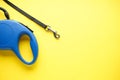 Blue retractable dog leash on a yellow background, Space for text, flat lay Royalty Free Stock Photo