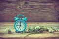 Blue retro alarm clock, summer wildflowers Royalty Free Stock Photo