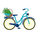 Blue retro bicycle with a basket of wild flowers on the trunk