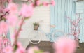 A blue retro bicycle stands next to a house with blooming pink flowers and a tree. Cityscape, ecological and sports transport. Sp