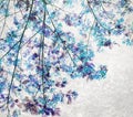 Blue Retro color tone of Flam-boyant flower with light grunge background