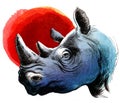 Blue rhino and red sun