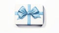 Blue Ribbon Wrapped Gift Box: Realistic Figurative Paintings And Whimsical Illustrations