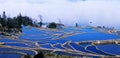 Blue rice terraces panorama of yuanyang Royalty Free Stock Photo