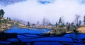 Blue rice terraces panorama of yuanyang Royalty Free Stock Photo