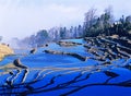 Blue rice terraces of yuanyang Royalty Free Stock Photo