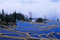 Blue rice terraces of yuanyang Royalty Free Stock Photo