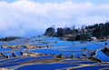 Blue rice terraces of yuanyang Royalty Free Stock Photo
