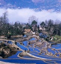 Blue rice terraces of yuanyang Royalty Free Stock Photo