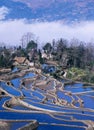 Blue rice terraces of yuanyang