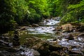 Blue Ridge Mountain Stream Royalty Free Stock Photo