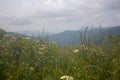 Blue Ridge Mountain View from Appalachian Trail