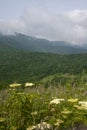 Blue Ridge Mountain View from Appalachian Trail