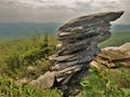 Tanawha Trail at Rough Ridge