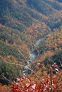 Linville Gorge in Fall, Blue Ridge Mountains, North Carolina Royalty Free Stock Photo