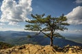 Blue Ridge Mountains from Ravens Roost Overlook