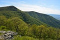 Blue Ridge Mountains in Summer.