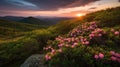 Blue Ridge Parkway Mountains Sunset over Spring Rhododendron Flowers Royalty Free Stock Photo