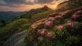Blue Ridge Parkway Mountains Sunset over Spring Rhododendron Flowers Royalty Free Stock Photo