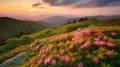 Blue Ridge Parkway Mountains Sunset over Spring Rhododendron Flowers Royalty Free Stock Photo