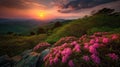 Blue Ridge Parkway Mountains Sunset over Spring Rhododendron Flowers Royalty Free Stock Photo