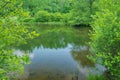 A Springtime View of Little Glade Mill Pond Royalty Free Stock Photo