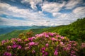 Blue Ridge Parkway North Carolina Mountain Spring Flowers Scenic Landscape Photography Royalty Free Stock Photo