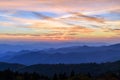 Blue Ridge Parkway Pale Rose Sunset Closeup Royalty Free Stock Photo