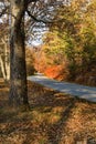 Blue Ridge Parkway Roadway in Northern Virginia, USA Royalty Free Stock Photo