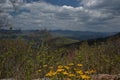 Blue Ridge Parkway Royalty Free Stock Photo