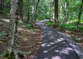 A Handicap Accessible Walking Trail at the Peaks of Otter Royalty Free Stock Photo