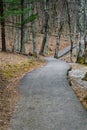 A Handicap Accessible Walking Trail at the Peaks of Otter Royalty Free Stock Photo