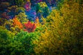 Blue ridge and smoky mountains changing color in fall Royalty Free Stock Photo