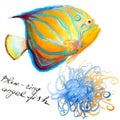 Blue-ringed Angelfish Pomacanthus Annularis and anemone, hand drawn watercolor Royalty Free Stock Photo
