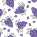 Blue ripe grape berries, seamless pattern isolated on white background.