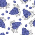 Blue ripe grape berries, seamless vector pattern isolated on white background.