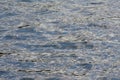 Blue rippling water surface with light reflections Royalty Free Stock Photo