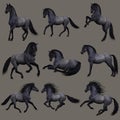 Blue Roan Horse, 3d CG