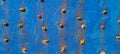 blue rock climbing wall with rustic texture and dots