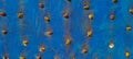 blue rock climbing wall with rustic texture and dots