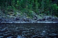 Blue rocky shore with pine forest. Background for travel and adventure materials