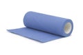 Blue roll of paper kitchen towel