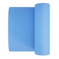 Blue Rolled Yoga Mat Isolated On White Background. Realistic 3D Render