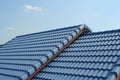 Blue roof