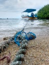 blue rope that binds a passenger ship against a background of blue sky and green mangroves