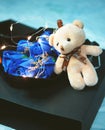 blue rose bear and sweet line light in gift box