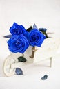 Blue roses close up
